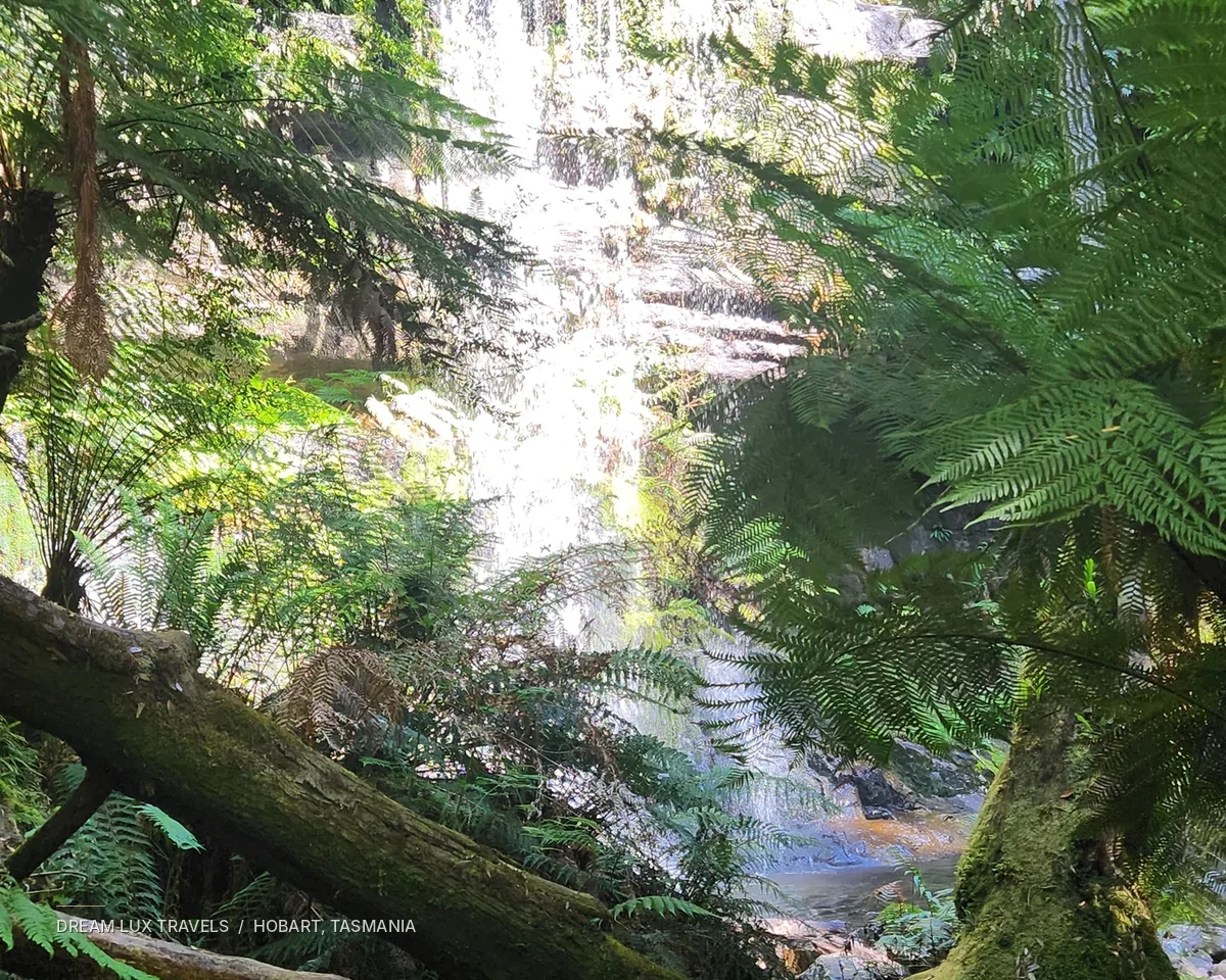 Russell Falls cascading through green temperate rainforest in Tasmania.