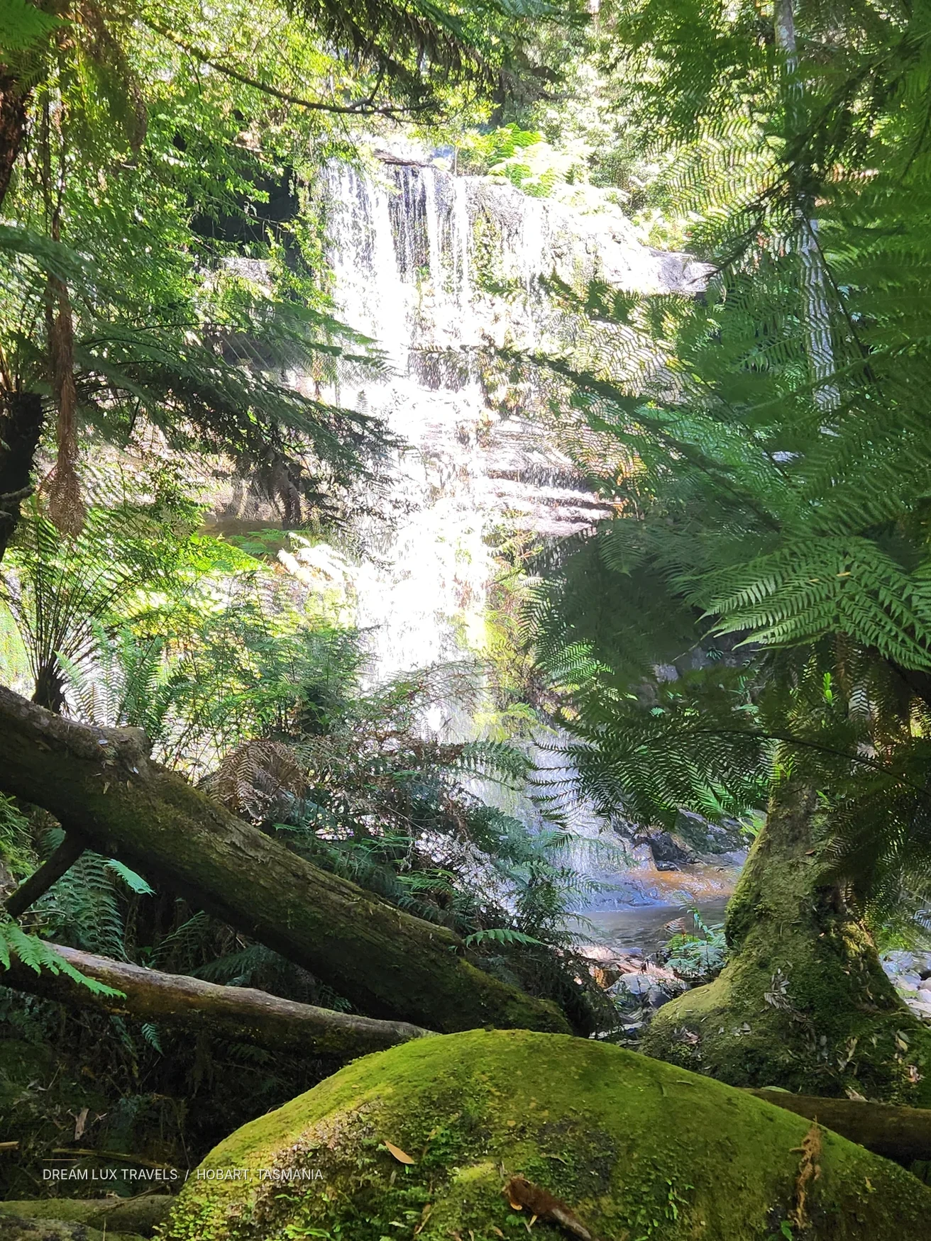 Russell Falls cascading through green temperate rainforest in Tasmania.